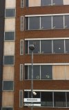 IMG_8021.jpeg
