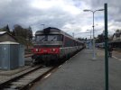 IMG_0339.jpeg
