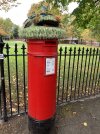 IMG_4324.jpeg