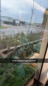 IMG_0504.jpeg