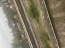 IMG_4723.jpeg