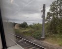 IMG_7370.jpeg
