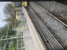 IMG_0236.jpeg
