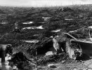 ypres.jpg