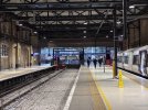 IMG_2127.jpeg
