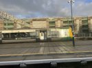 IMG_1378.jpeg