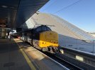 IMG_7186.jpeg