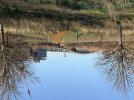 IMG_0884.jpeg