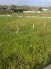 20150521_073727.jpg