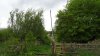DSC00970.jpg