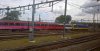 pink and yellow train at Rotterdam.jpg
