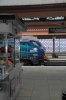 IMGL0113new.jpg