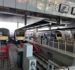IMG_3918.jpeg