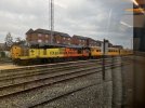 IMG_6381.jpeg