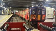 IMG_0187.jpeg