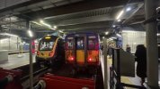 IMG_5668.jpeg