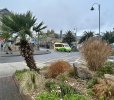IMG_4488.jpeg