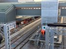 IMG_1131.jpeg