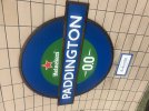 IMG_8161.jpeg