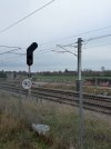 IMG_1228.jpeg