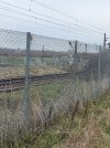IMG_1230.jpeg