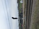 IMG_1227.jpeg