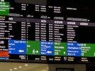 IMG_3452.jpeg