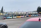IMG_0732.jpeg