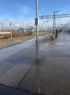 IMG_0829.jpeg