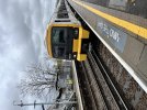 IMG_1175.jpeg
