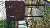 IMG_2938.jpeg