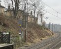 IMG_0183.jpeg