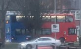 IMG_1167.jpeg