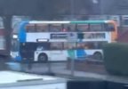 IMG_1298.jpeg