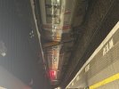 IMG_8404.jpeg