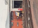IMG_3339.jpeg
