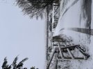IMG_6945.jpeg