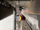IMG_1644.jpeg