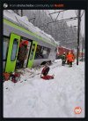IMG_7767.jpeg
