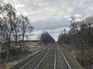 20260224_094318.jpg