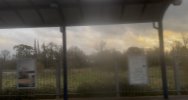 IMG_7805.jpeg