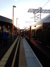 IMG_20260319_070548_835.jpg
