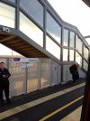 IMG_20260319_071036_799.jpg
