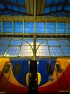 IMG_0202.jpeg