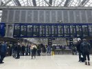 IMG_1106.jpeg