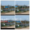 20260323_105351-COLLAGE.jpg