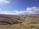 IMG_6358.jpeg