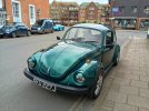 Beetle.jpg