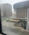 IMG_1724.jpeg