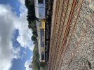 IMG_2341.jpeg